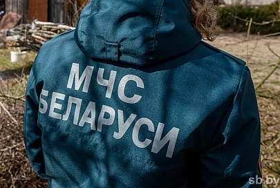 В Рогачевском районе нашли тело мужчины, который пропал вместе с лошадью и повозкой