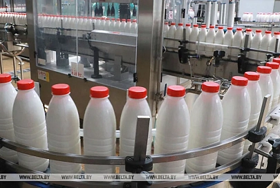 Экспорт белорусской сельхозпродукции за 26 лет вырос в 12 раз