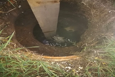 В Рогачевском районе собака упала в колодец с водой: понадобилась помощь спасателей