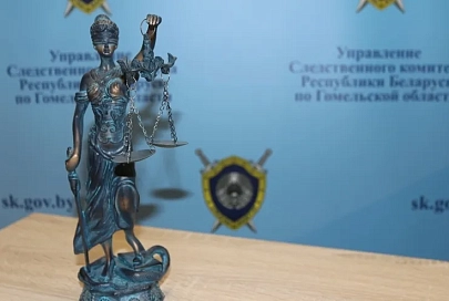 В деле о хулиганстве на избирательном участке в Гомельском районе поставлена точка
