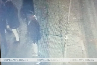 В Гомеле разыскивают пару, подозреваемую в причинении телесных повреждений
