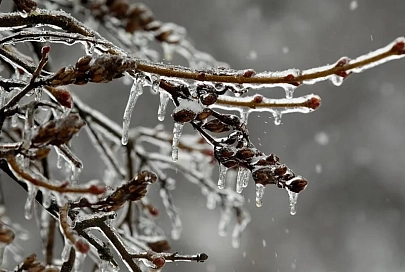 Облачно и до -3°C  будет в Гомеле 16 декабря 