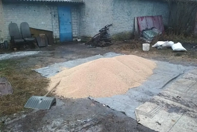 В Рогачевском районе водитель присвоил тонну зерна пшеницы для корма будущего домашнего скота