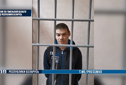 Гомельчанин мог отделаться административным протоколом, а заработал уголовную статью