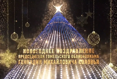 Новогоднее поздравление председателя Гомельского облисполкома Геннадия Соловья