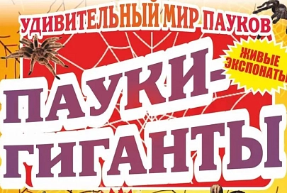 От карликовых до гигантских - выставка пауков откроется в Гомеле