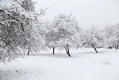 Небольшой снег и до -6°С ожидается в Гомеле 13 января