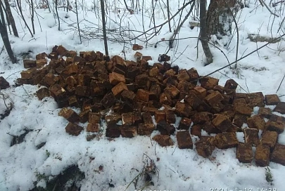 В 300 метрах от автозаправки. На Гомельщине обнаружили крупное хранилище боеприпасов времен Великой Отечественной войны