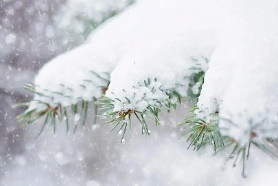 Небольшой снег и до -7°C прогнозируют синоптики в Гомеле 30 января