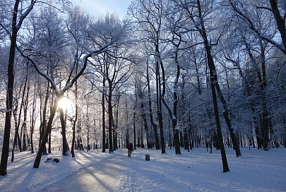 Снег, гололедица и до -5°C ночью ожидается в Гомеле 4 февраля