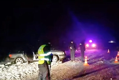 В Гомельской области произошло смертельное ДТП