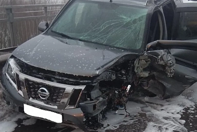 ДТП в Ветковском районе: водителя и пассажира из авто деблокировали спасатели