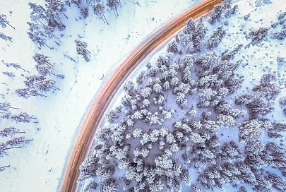 Сильный снег, порывистый ветер и до -13°С ожидается в Гомеле 9 февраля