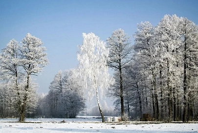 Небольшой снег и -16° ожидаются в Гомеле 10 февраля