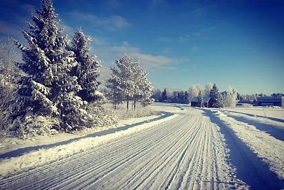 Гололедица  и до -14°C ночью ожидается в Гомеле 17 февраля