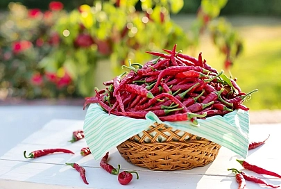 Любители острых впечатлений оценят. Назван продукт, снижающий риск смерти