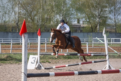 Спортсмены Гомельской области завоевали 12 лицензий на Олимпийские игры в Токио