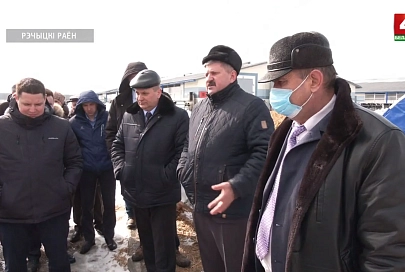 На Гомельщине обсудили ситуацию в животноводстве