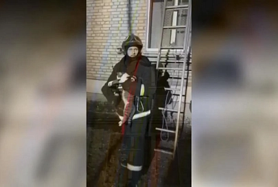 В Гомеле сотрудники МЧС спасли кота, который застрял в оконной раме
