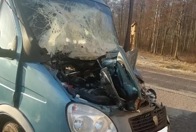 В Петриковском районе произошло ДТП. Пострадали два человека