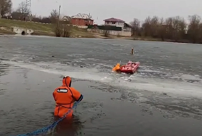 На Любенском озере собака выбежала на лед и не смогла вернуться на берег. На помощь пришли спасатели