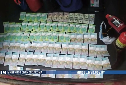 В Несвижском районе воры-гастролеры под видом массажистов вынесли из дома пенсионеров крупную сумму