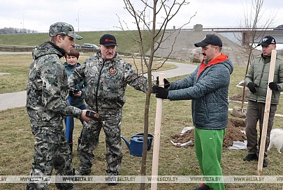 Лукашенко в день субботника высаживал деревья на своей малой родине в Александрии