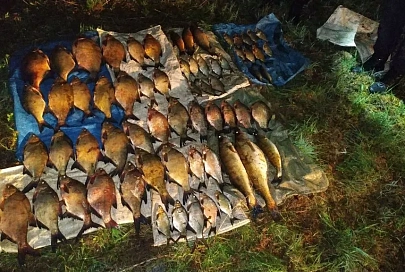 510 базовых и уголовное дело: в Ветковском районе поймали рыбного браконьера