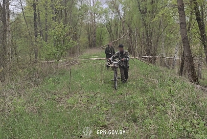 За время майских праздников гомельские пограничники задержали трех нарушителей границы