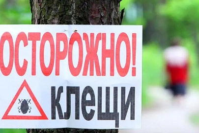 В Беларуси с начала года зарегистрировано более 100 случаев лайм-боррелиоза