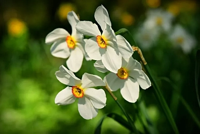 Без осадков и до +21°С ожидается в Гомеле 4 июня