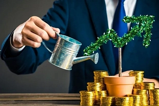 Потенциал есть: как и с чем Гомельщина встречает инвесторов?