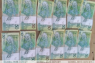 В Гомельском районе оперативники уголовного розыска вернули похищенные у пенсионера Br18 тыс.