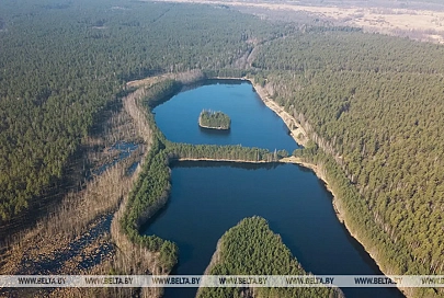 Фототуры по красивейшим природным местам начнут проводить в Беларуси
