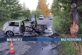 В Калинковичском районе бесправник врезался в дерево. Погибла 20-летняя пассажирка