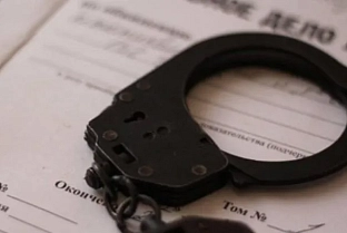 Речичанина приговорили к полутора годам лишения свободы за призывы к участию массовых беспорядках