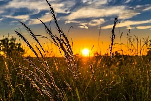 Без осадков и до +32°C будет в Гомеле 19 июня