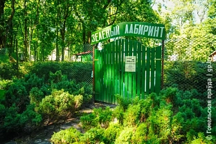 Что ждет гостей в Зеленом лабиринте гомельского парка
