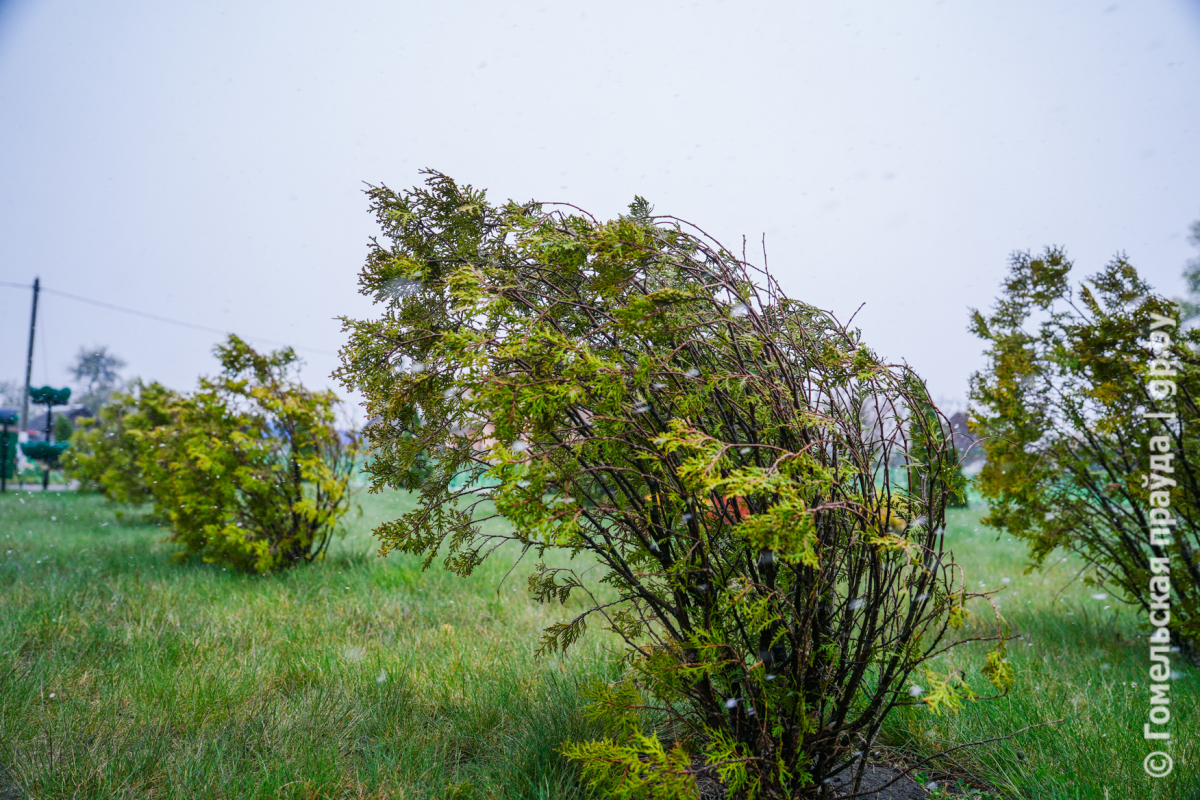 wind-3.jpg wind-3.jpg